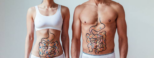 Akkermansia for a healthy gut