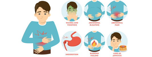 Akkermansia: A Natural Solution for Bloating and Gas Relief