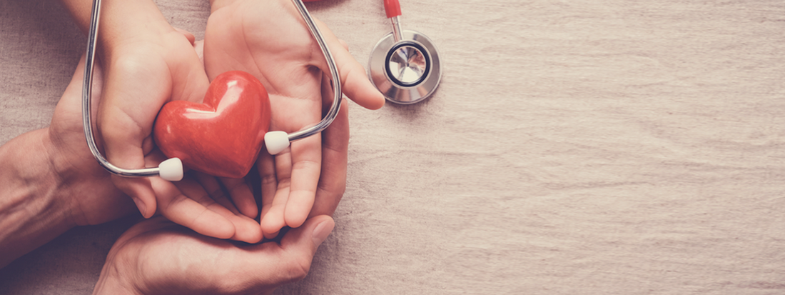 Akkermansia: A Breakthrough in Cardiovascular Health