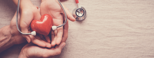 Akkermansia: A Breakthrough in Cardiovascular Health
