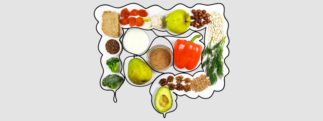 Boost Your Gut Health Naturally: Strategies to Enhance Akkermansia Levels