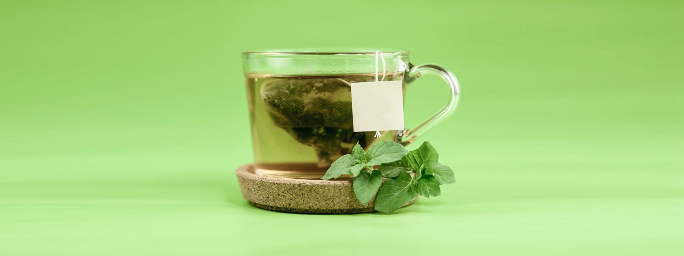The Power of Organic Green Tea: Boosting Akkermansia Absorption for Gut Health