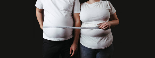 Can Lack of Akkermansia Cause Weight Gain?